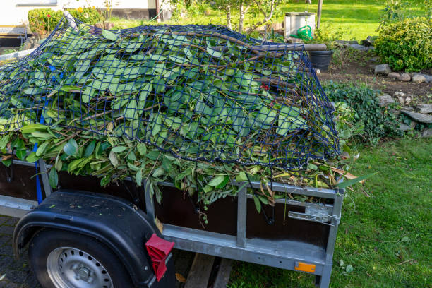 Shed Removal in North Westport, MA